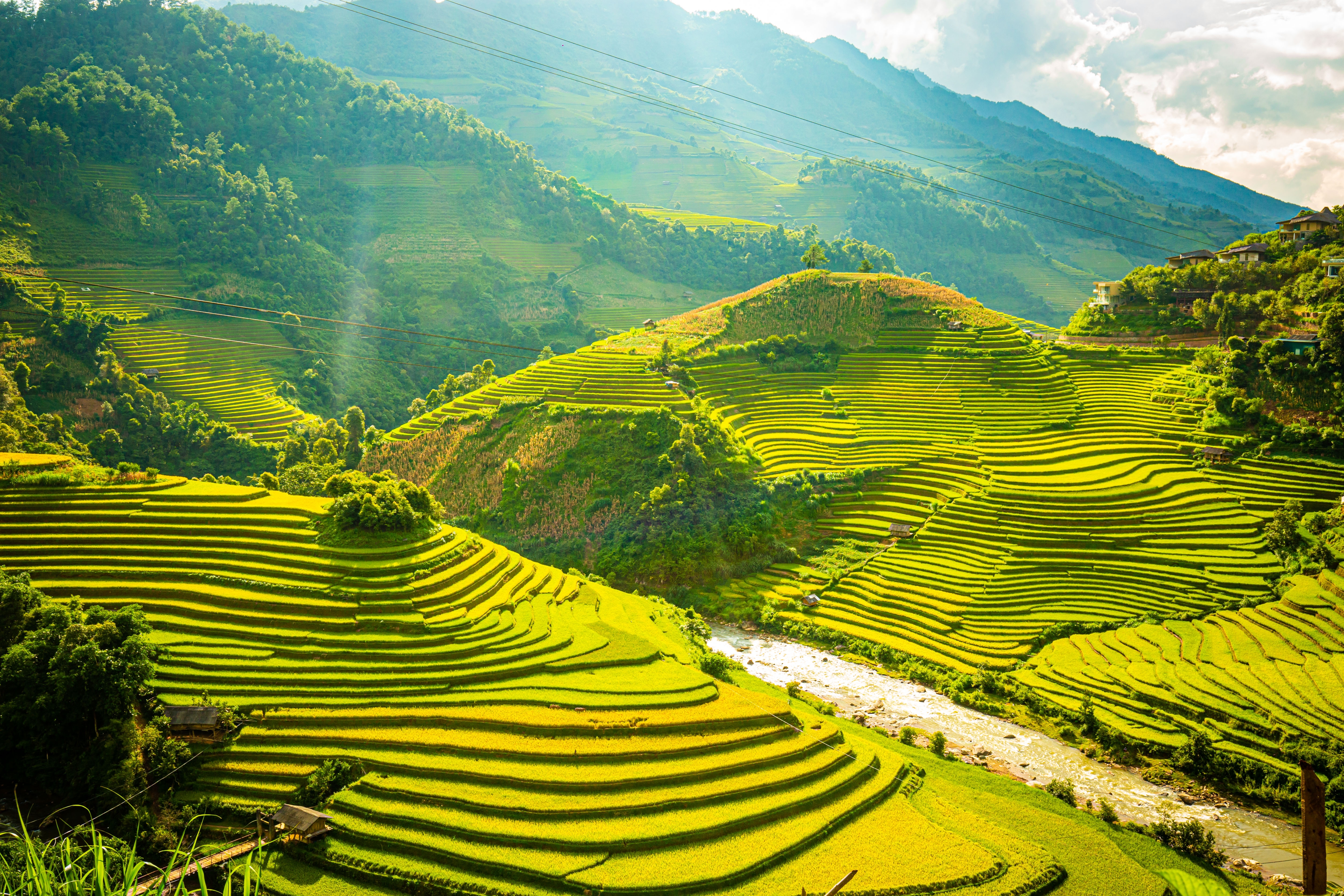 Majestætiske grønne risterrasser i Mu Cang Chai, Vietnam, med bjerge og en flod i dalen