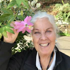 Mari-Louise Petersson