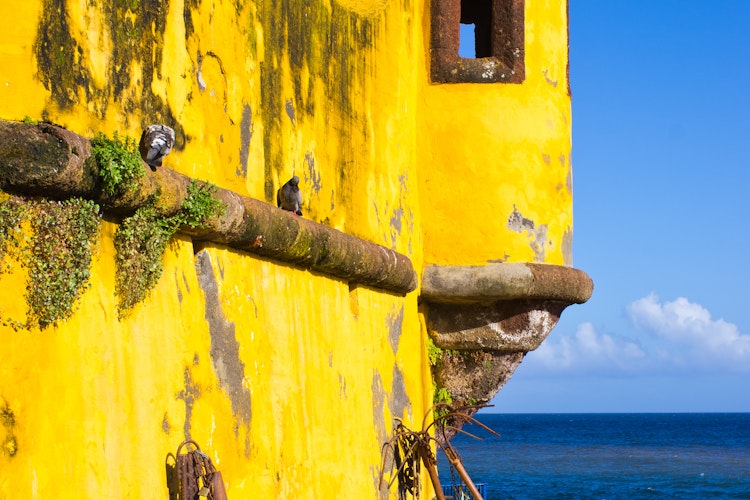Den ikoniske gule fæstning Forte de São Tiago fra 1600-tallet ved vandkanten i Funchal på Madeira, hvor Restaurante do Forte tilbyder en uforglemmelig middagsoplevelse med havudsigt