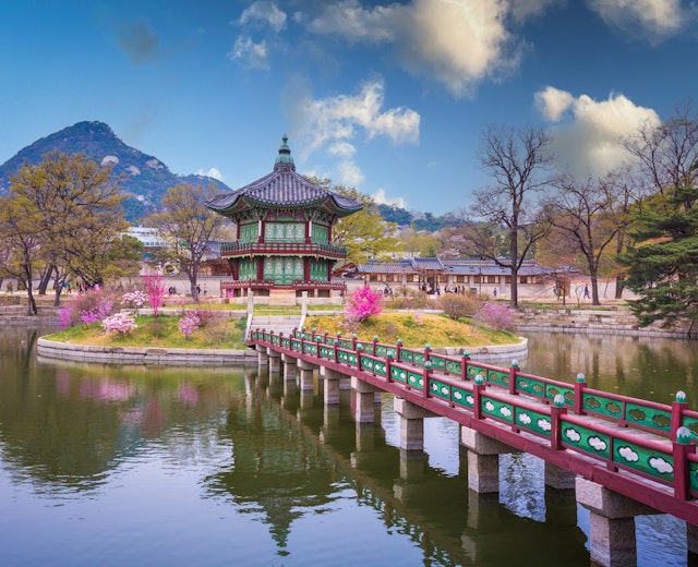Det historiske Gyeongbokgung-palads i Seoul med blomstrende kirsebærtræer - et betagende syn under forårets sakura-sæson i Sydkorea