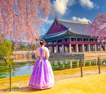 Kvinde iført traditionel koreansk hanbok betragter smukke kirsebærblomster ved det historiske Gyeongbokgung Palads i Seoul, Sydkorea under forårets blomstring