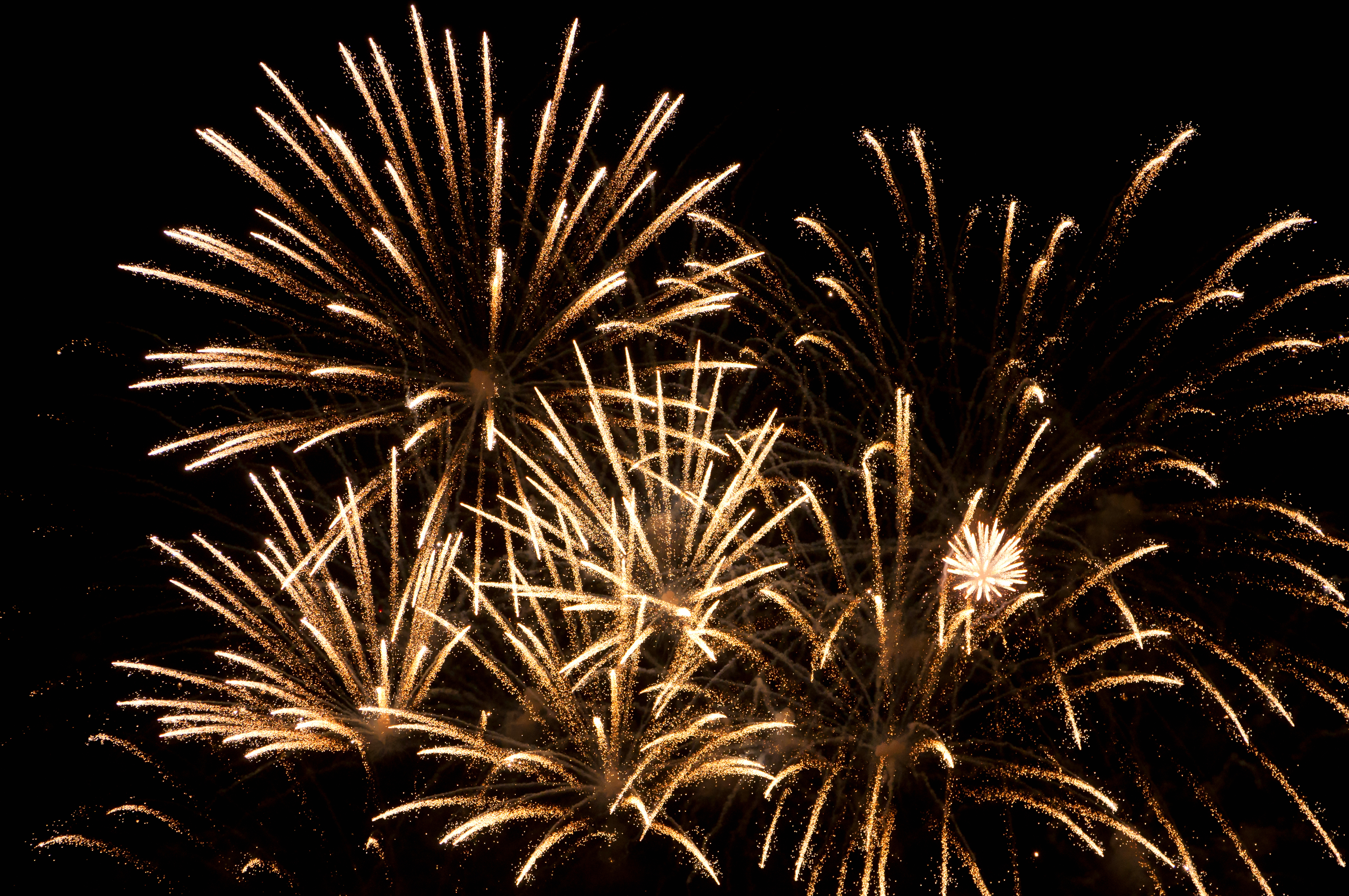 Gyldent fyrværkeri spreder sig mod mørk nattehimmel under festlig fejring