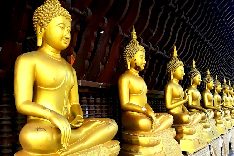 Gyldne Buddha statuer i meditation ved buddhistisk tempel i Sri Lanka