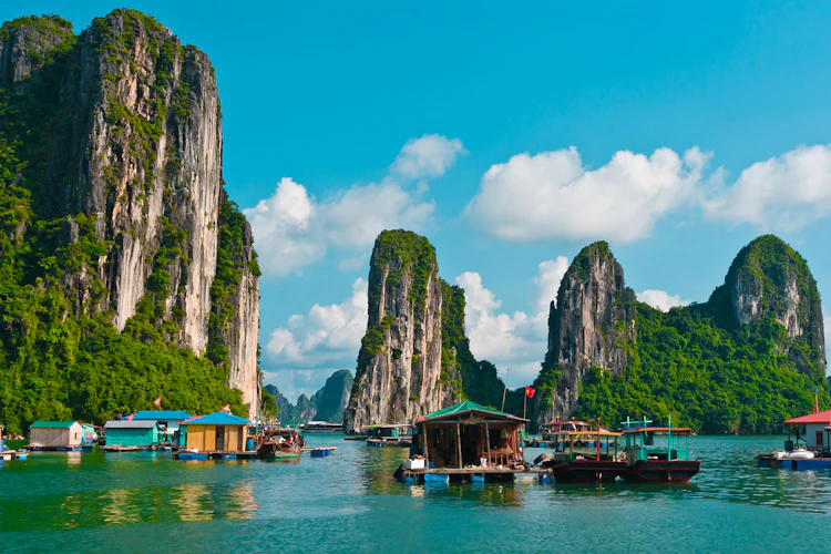 Flydende landsby med traditionelle både i Halong Bay Vietnam