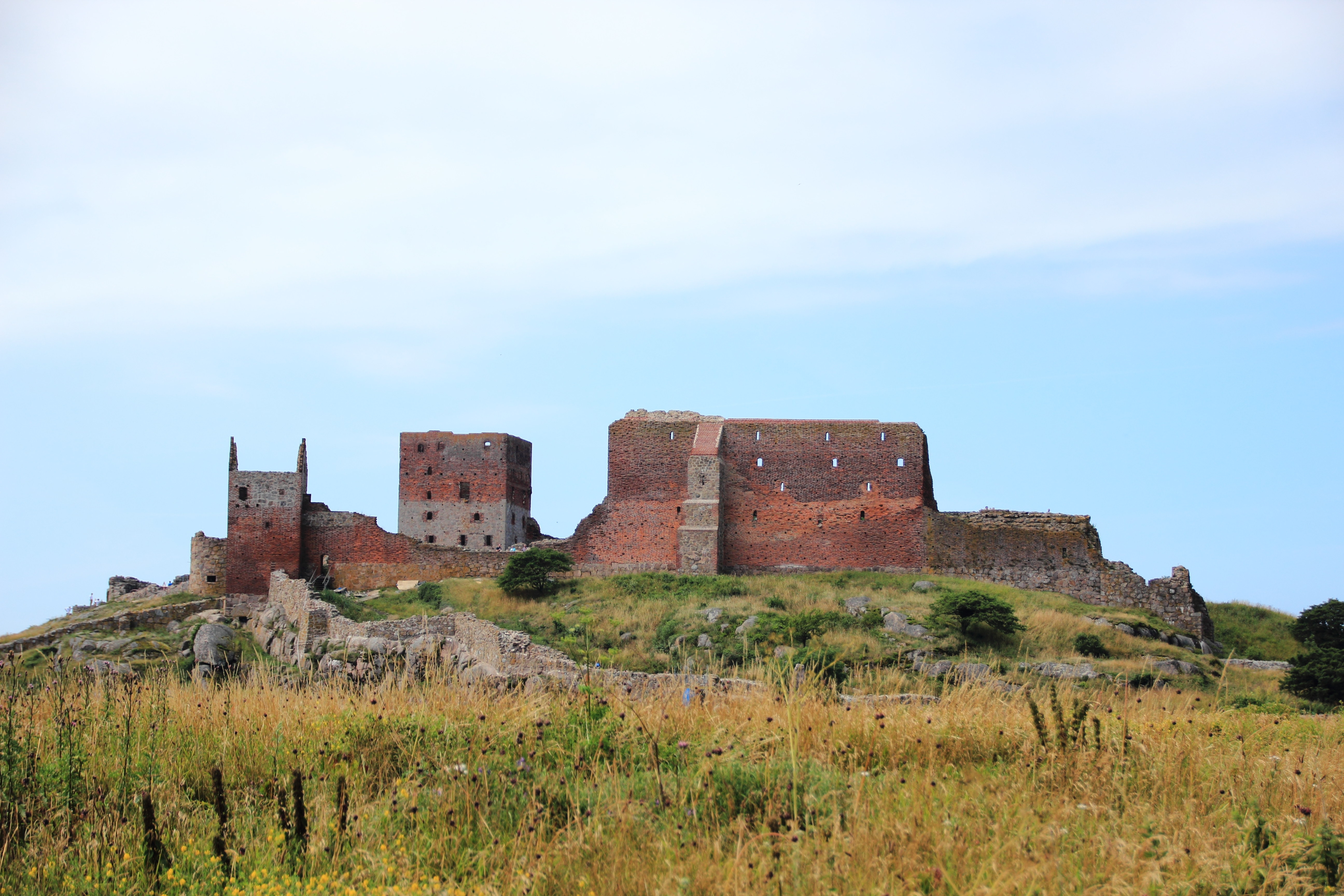 Hammershus borgruiner på klippegrund på Bornholm med middelalderlige stenmure og tårne