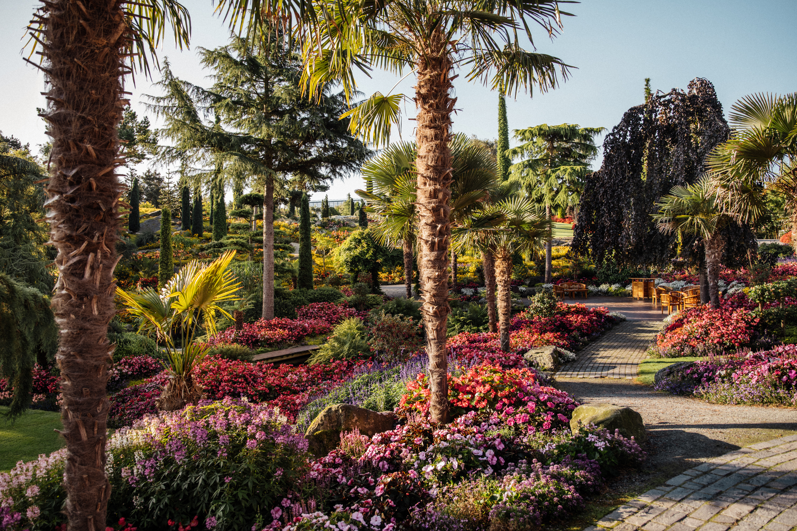 have_flor_og_fjaere_tom_haga