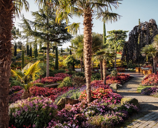 have_flor_og_fjaere_tom_haga