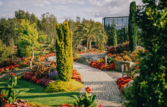 have_flor_og_fjaere_tom_haga_01