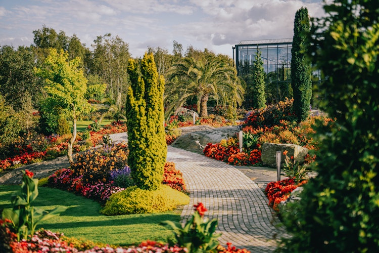 have_flor_og_fjaere_tom_haga_01