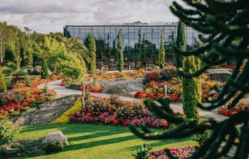 have_flor_og_fjaere_tom_haga_02