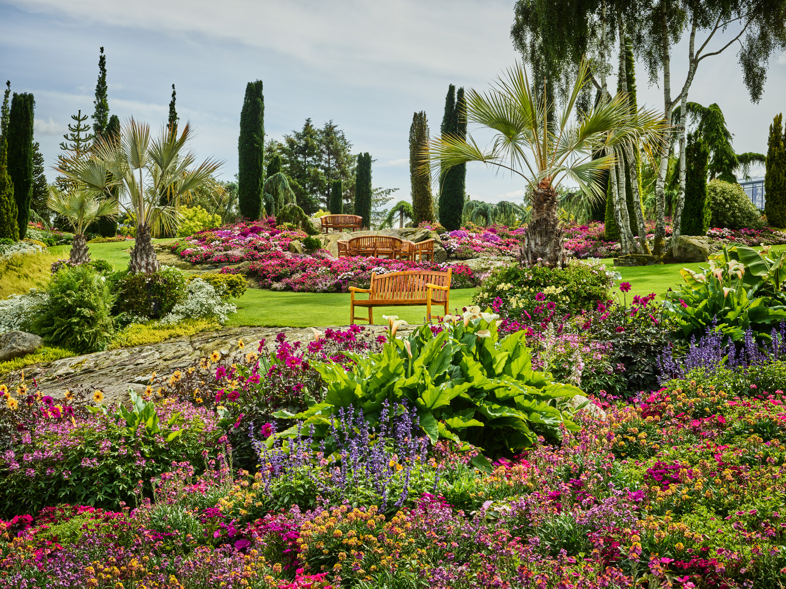 have_flor_og_fjaere_tom_haga_03