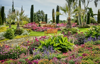 have_flor_og_fjaere_tom_haga_03