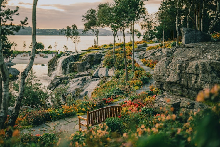 have_flor_og_fjaere_tom_haga_04