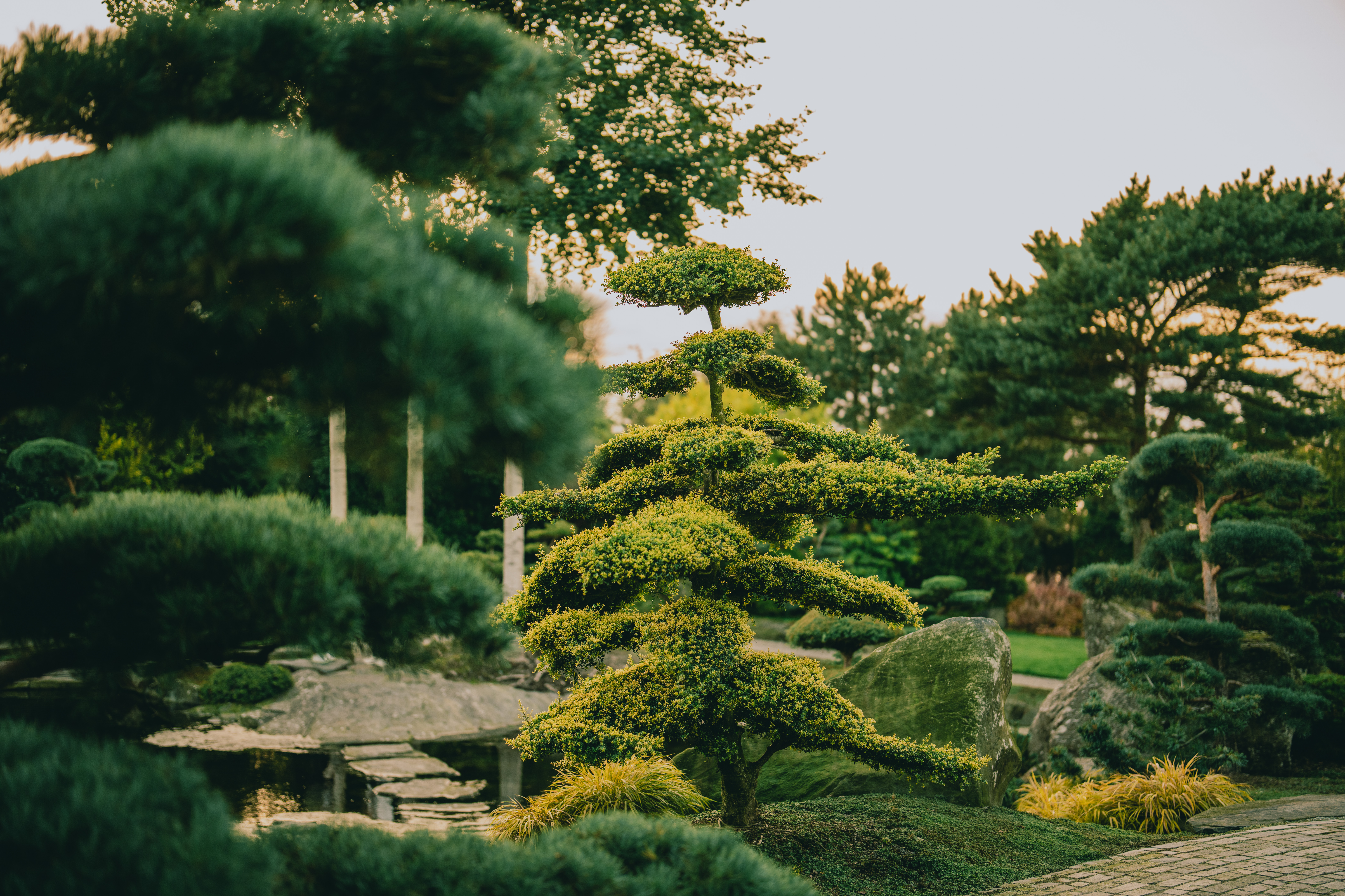 have_flor_og_fjaere_tom_haga_05