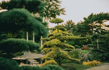 have_flor_og_fjaere_tom_haga_05