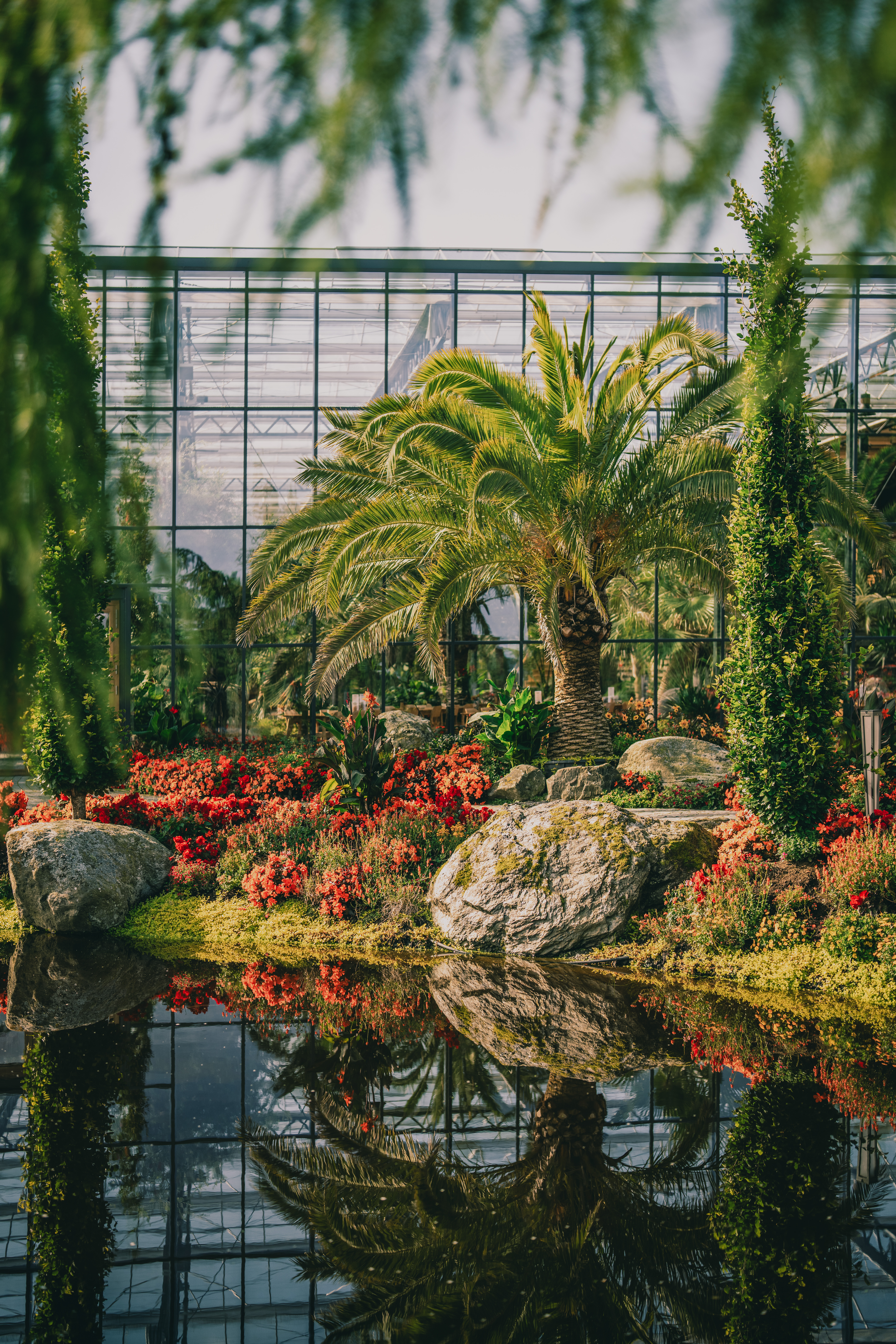 have_flor_og_fjaere_tom_haga_06