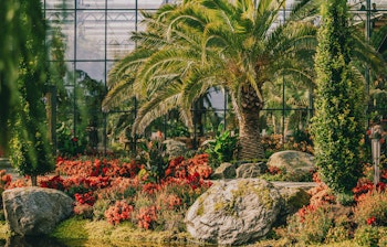 have_flor_og_fjaere_tom_haga_06