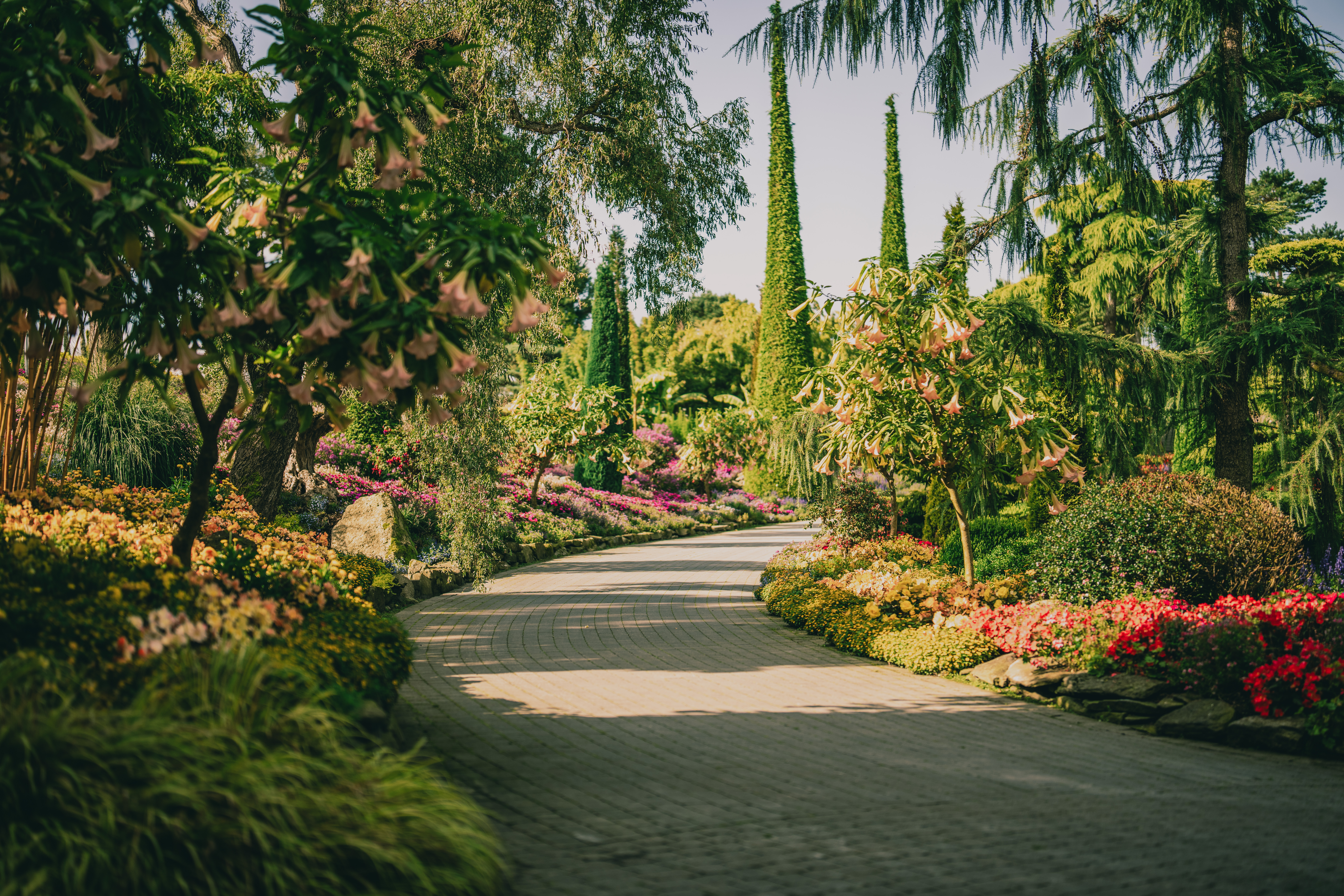 have_flor_og_fjaere_tom_haga_08