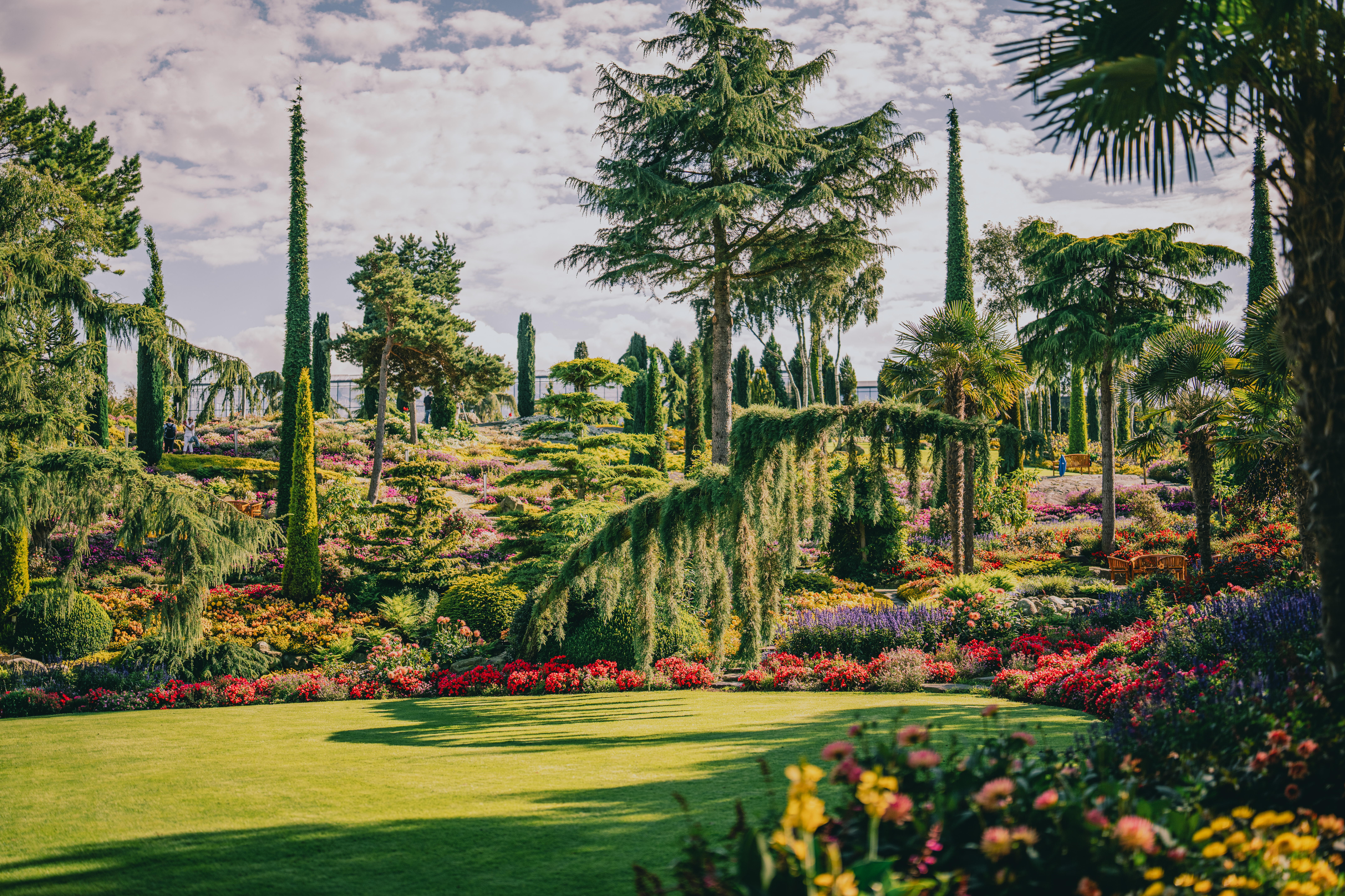 have_flor_og_fjaere_tom_haga_09