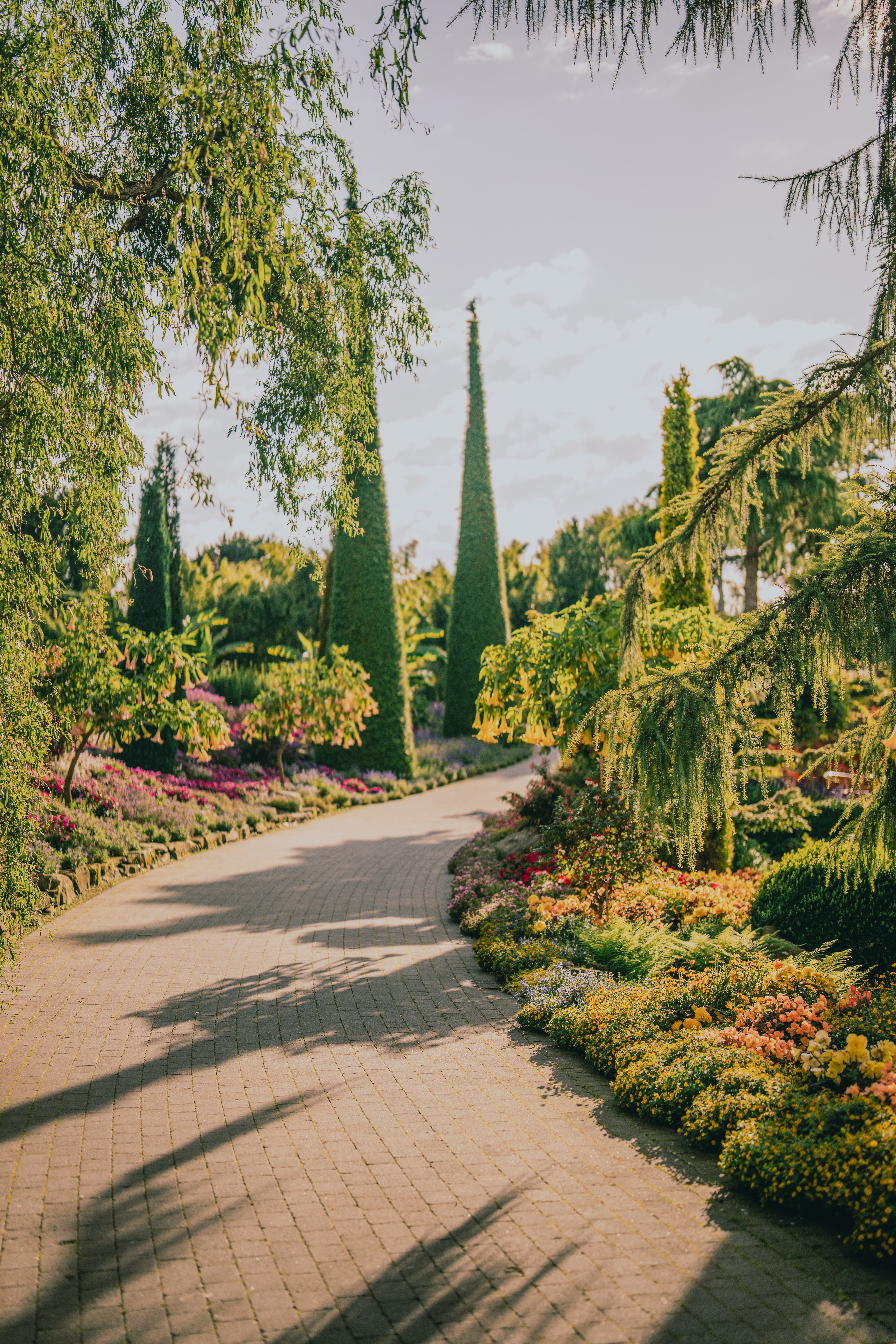 have_flor_og_fjaere_tom_haga_10