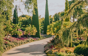 have_flor_og_fjaere_tom_haga_10