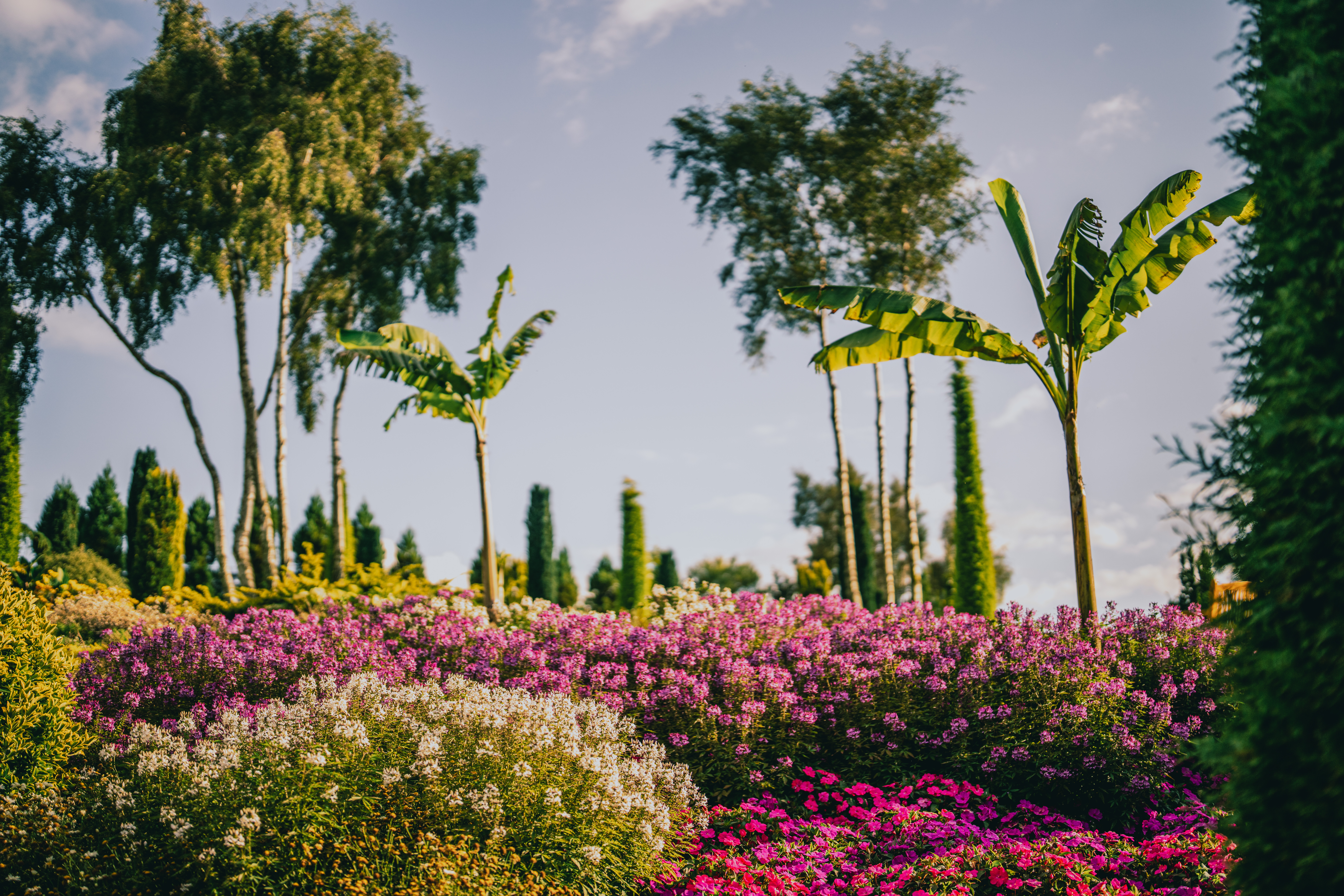 have_flor_og_fjaere_tom_haga_11