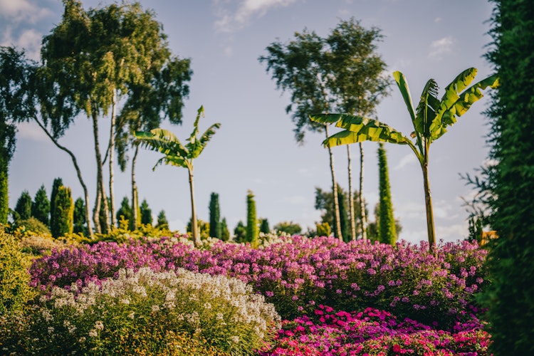 have_flor_og_fjaere_tom_haga_11