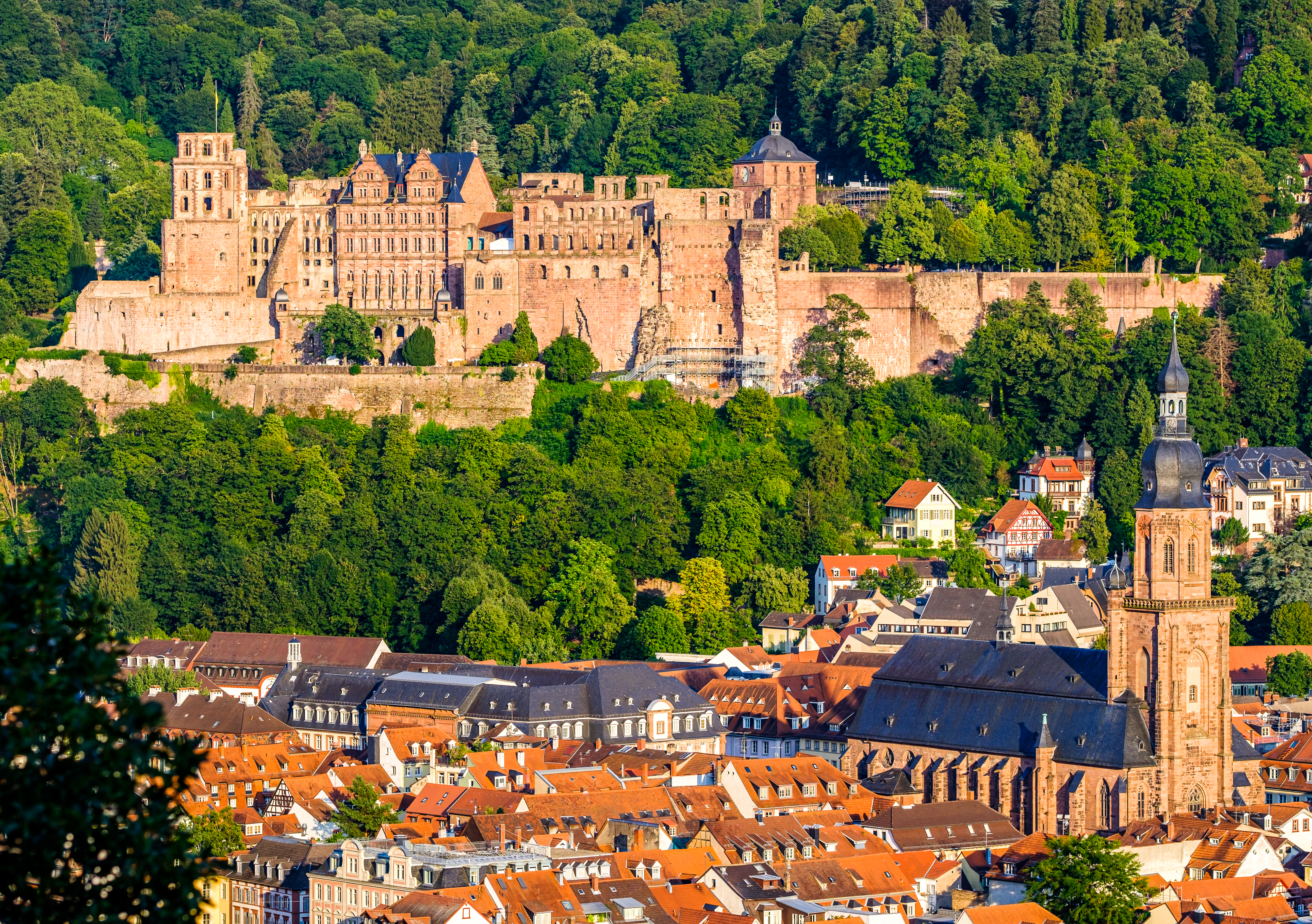 Panoramaudsigt over Heidelberg Slot og den gamle bydel med Neckar-floden, et højdepunkt på flodkrydstogter på Rhinen