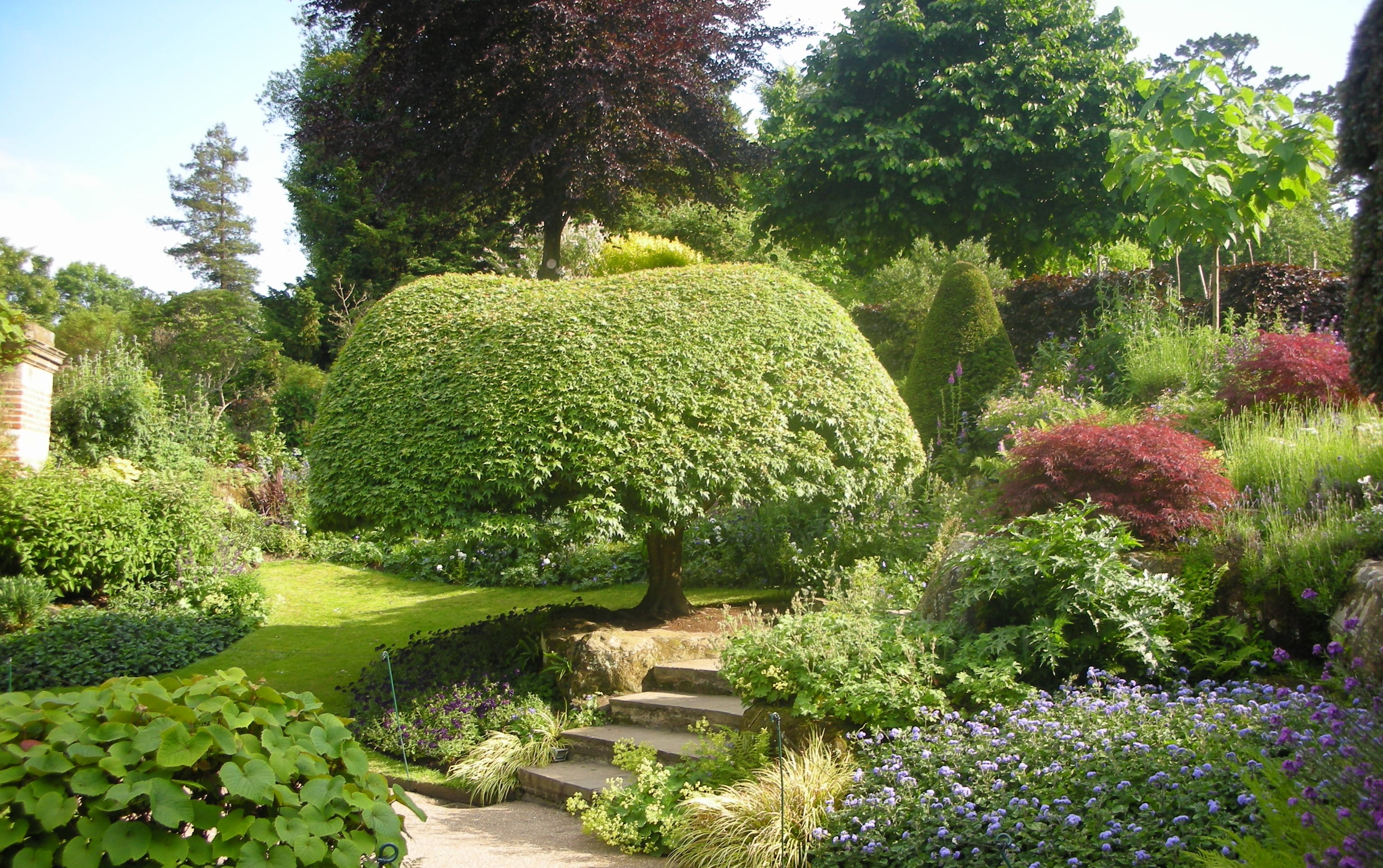 Smukke landskabshaver ved Hever Castle i Kent, England, med en perfekt klippet topiarhæk, stentrin og farverige blomster i lilla og rødt