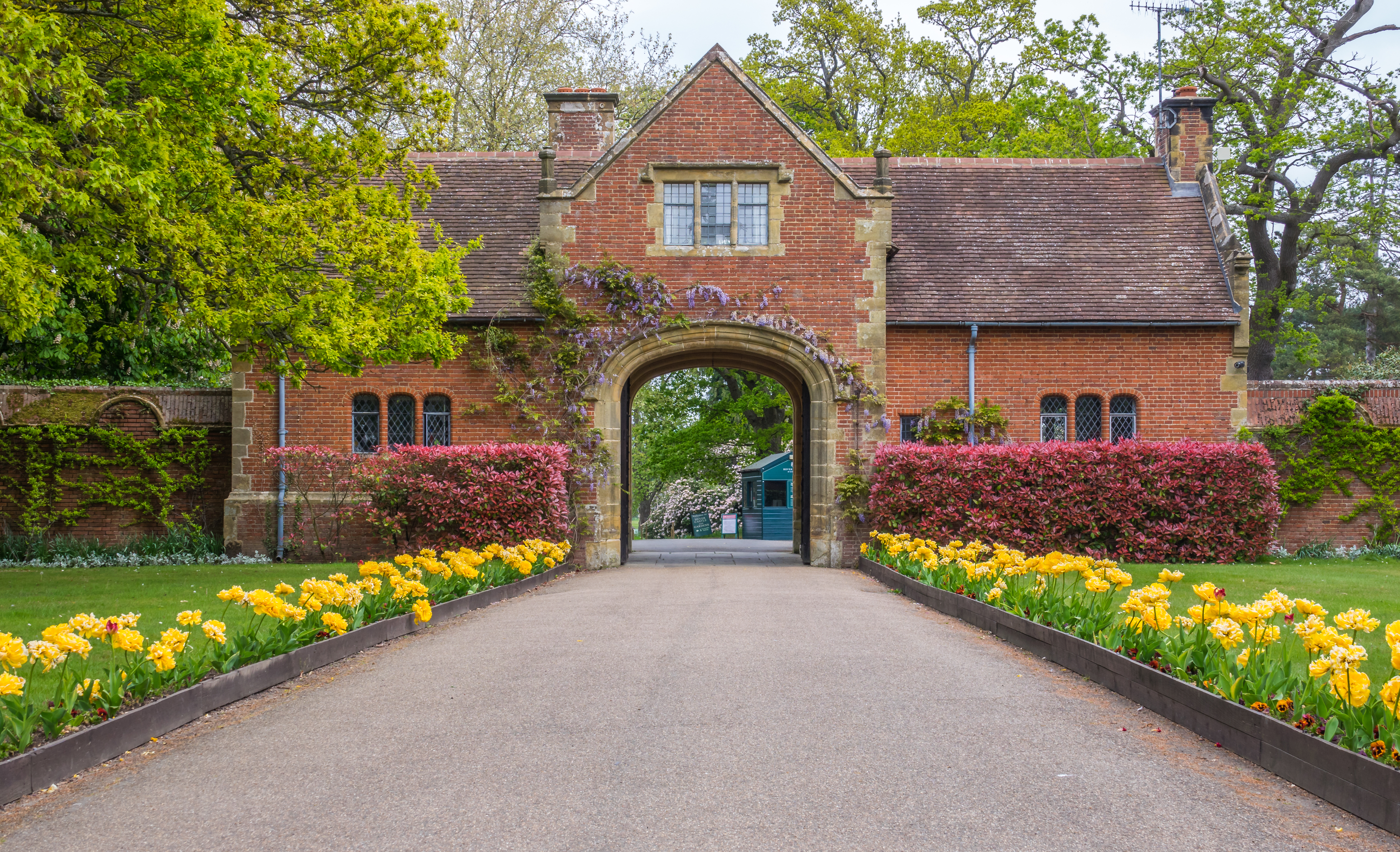 Den smukke historiske portbue ved Hever Castle i Kent, England, omgivet af gule tulipaner og røde hække om foråret