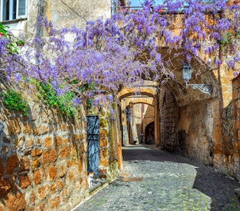 Idyllisk smal gade i den historiske by Orvieto i Umbrien, Norditalien, pyntet med smukke lilla blåregn