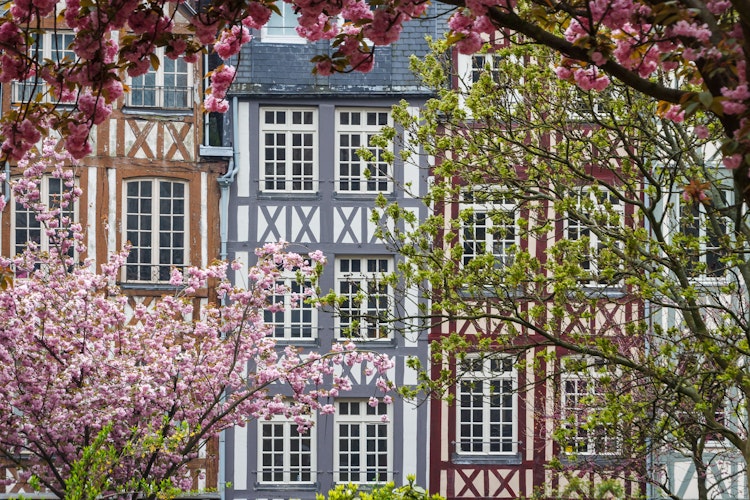 Farverige historiske bindingsværkshuse i Rouen, Normandiet, med blomstrende kirsebærtræer, der viser traditionel fransk arkitektur