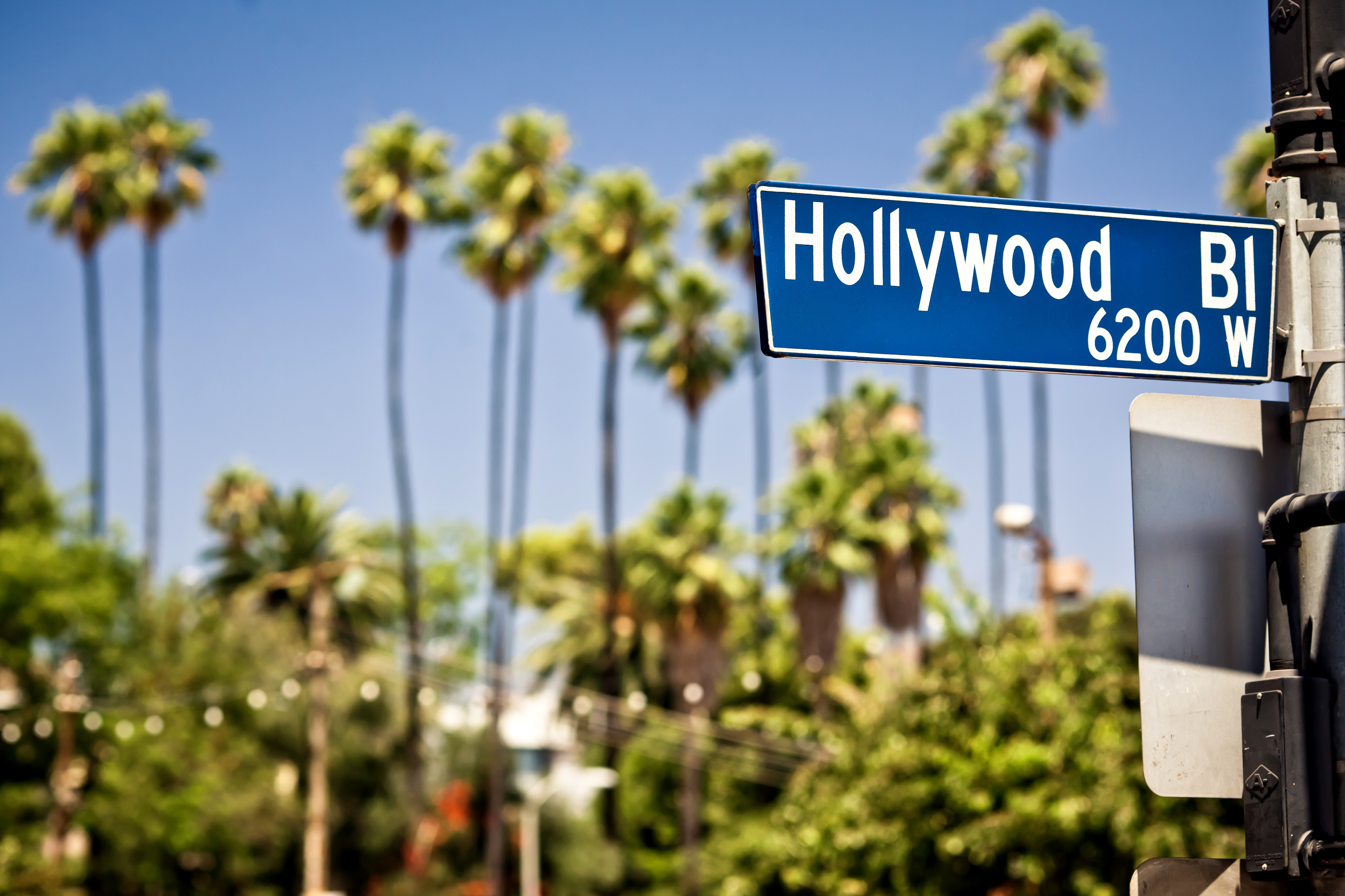 Hollywood Boulevard vejskilt med palmer i Los Angeles Californien