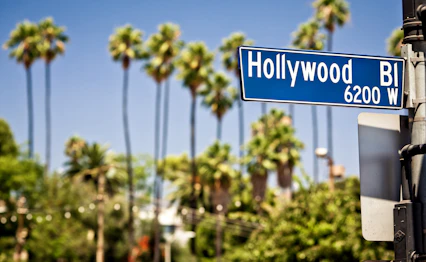 Hollywood Boulevard vejskilt med palmer i Los Angeles Californien