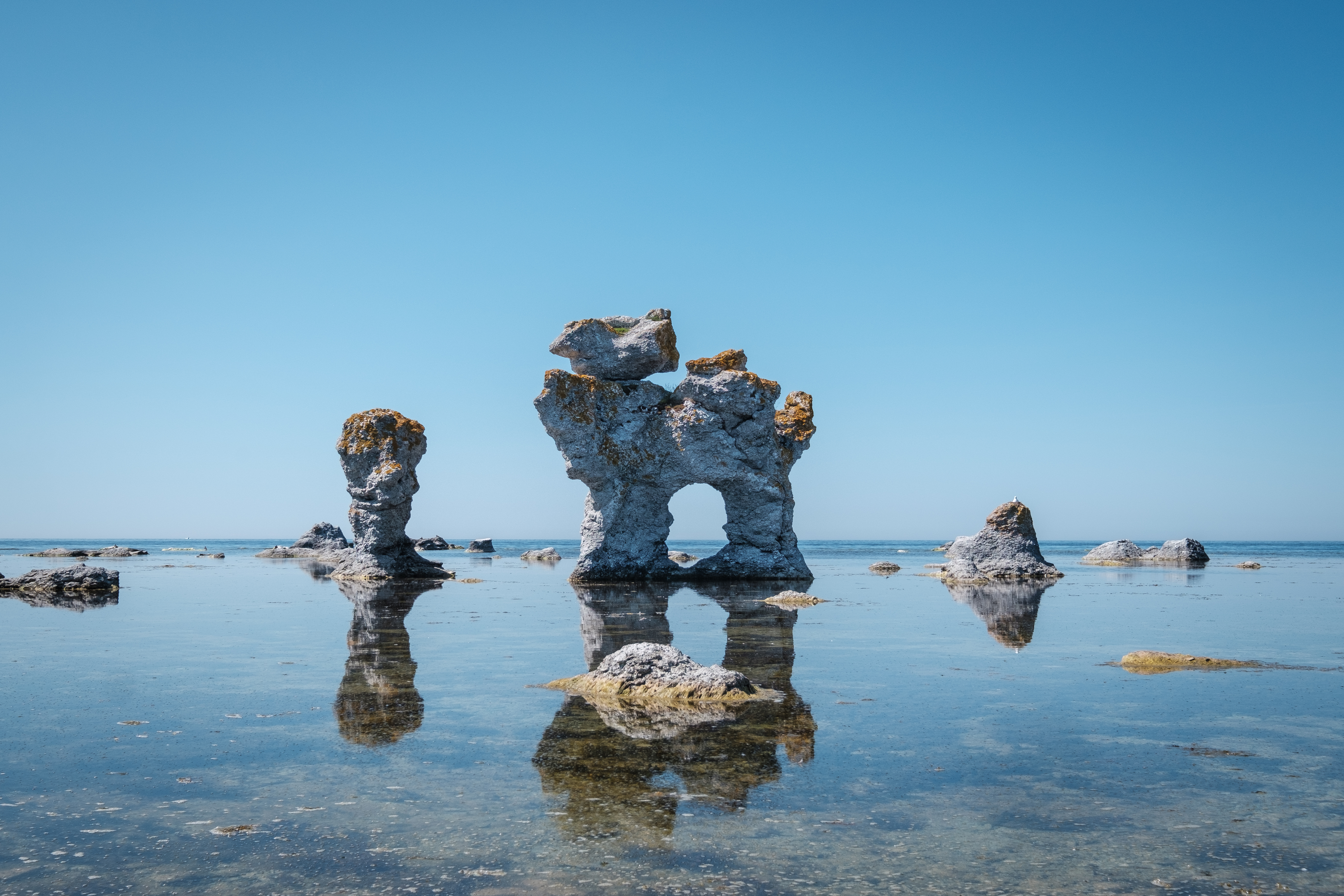 Naturlig hundeformet stenformation ved kysten på Fårö, Gotland i Sverige med blåt vand og klar himmel