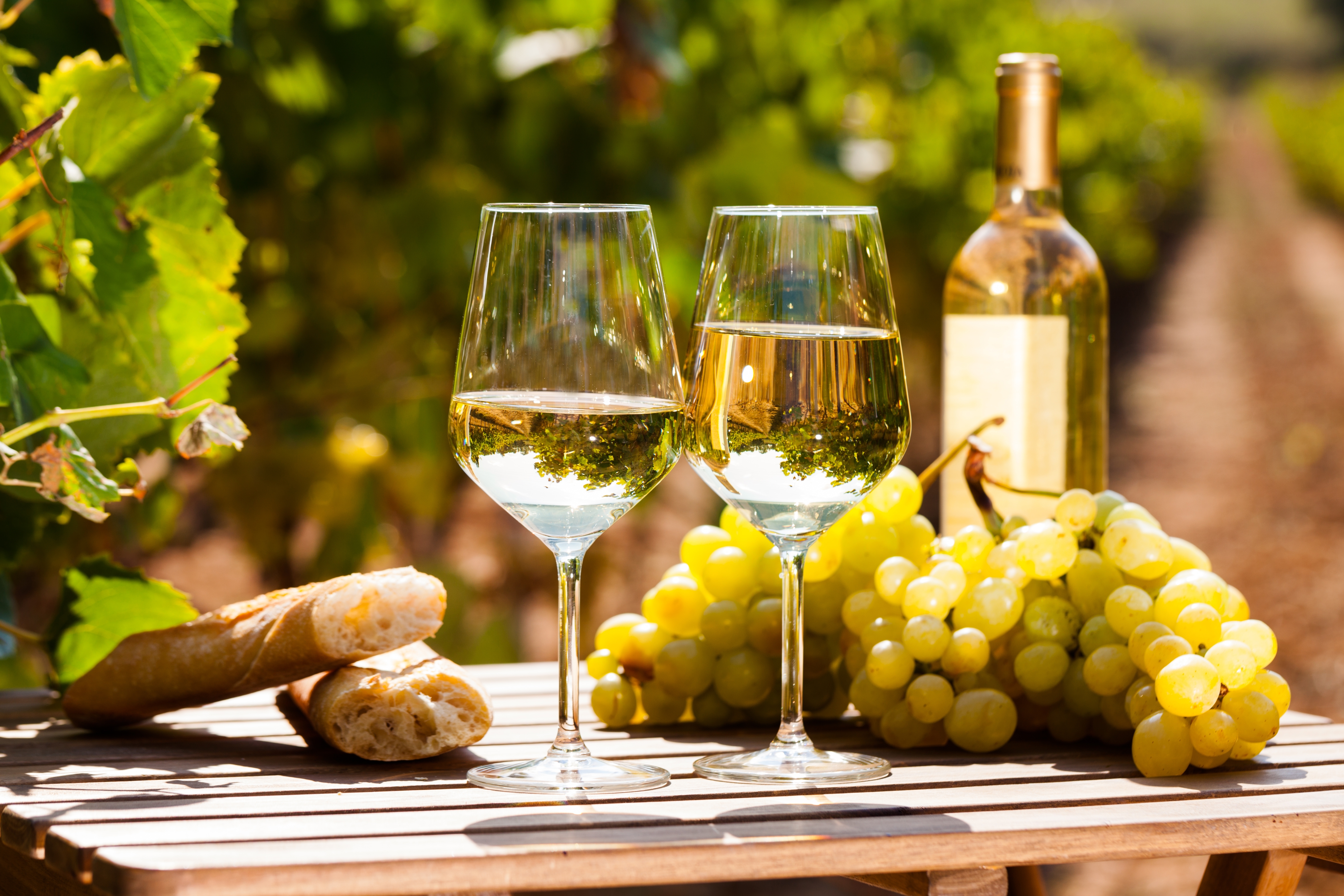 Hvidvinsglas og friske druer på vingårdsbord med brød til vinsmagning på ferie