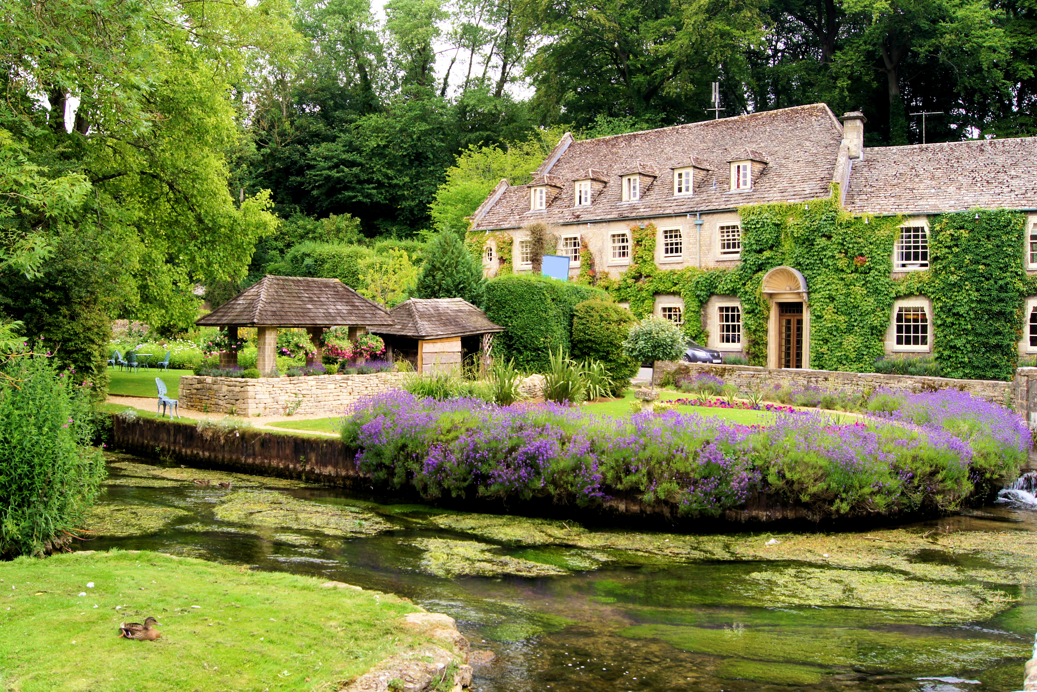 Charmerende havelandskab i Bibury landsbyen i Cotswolds, England med traditionelle stenhuse, farverige blomster og rislende vandløb