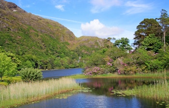 Idyllisk irsk landskab ved Connemara-søen med traditionel hytte, båd og bjerge i baggrunden
