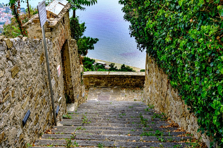 Charmerende stentrappe i middelalderbyen Castellabate med frodige planter og betagende udsigt over Middelhavet i Cilento, Syditalien