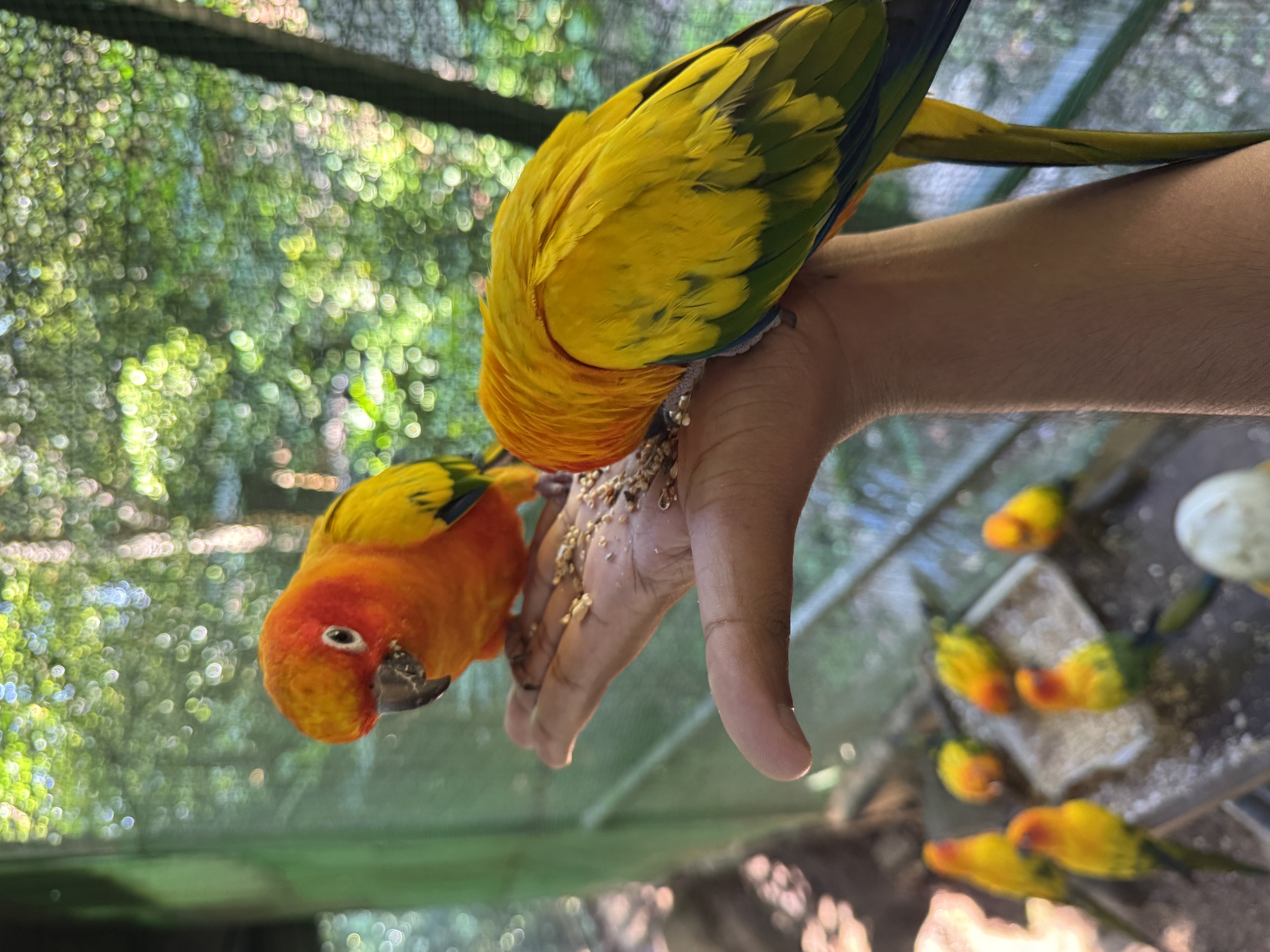 Inside the Bird Park