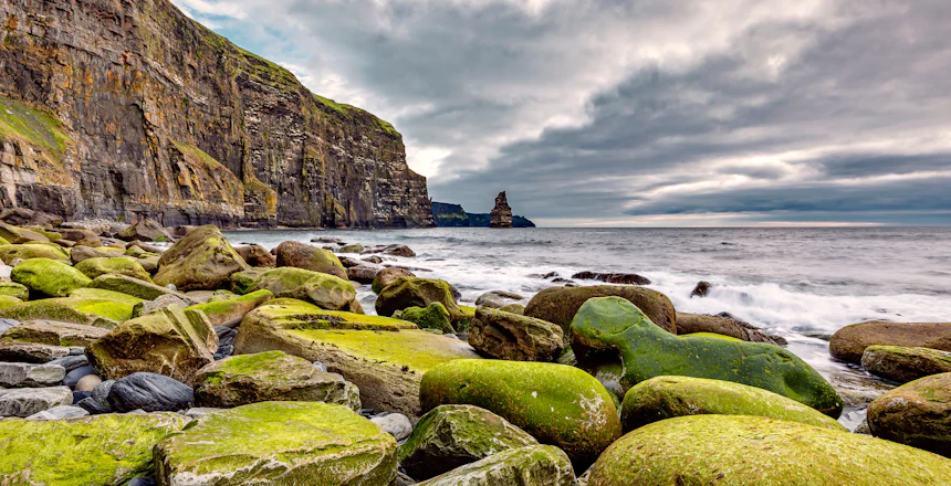 Dramatiske mossede klipper ved Cliffs of Moher på Irlands vestkyst
