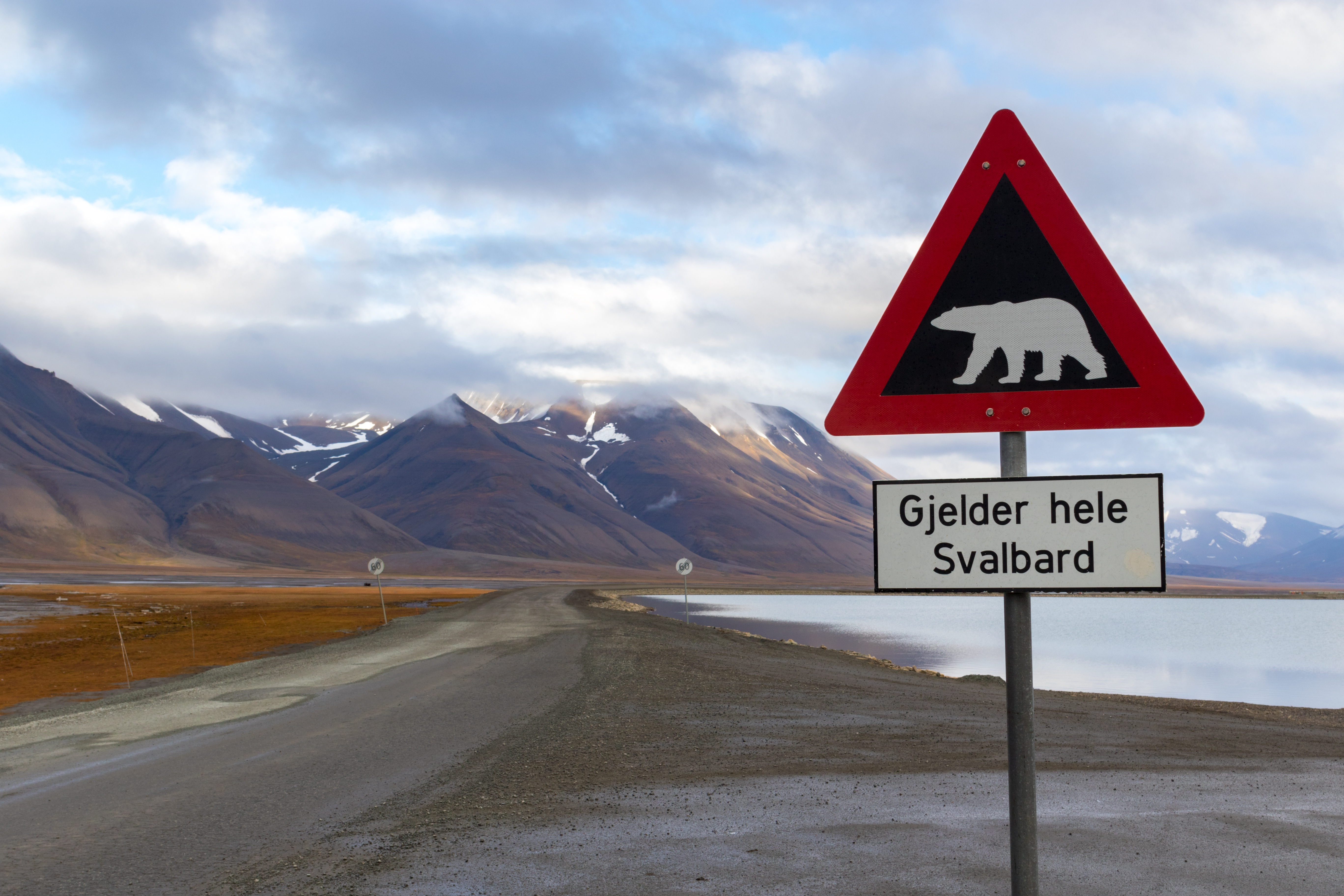Karakteristisk isbjørn-advarselsskilt ved udkanten af Longyearbyen på Svalbard med sneklædte bjerge og dramatisk arktisk himmel i baggrunden