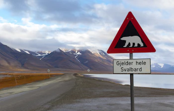 Karakteristisk isbjørn-advarselsskilt ved udkanten af Longyearbyen på Svalbard med sneklædte bjerge og dramatisk arktisk himmel i baggrunden