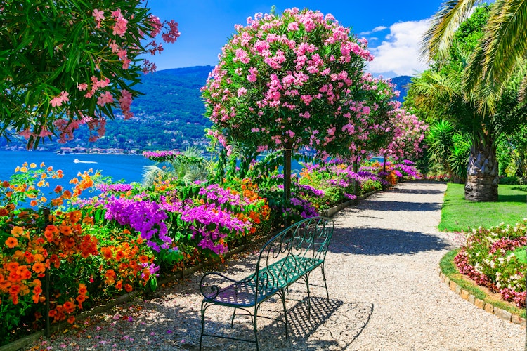 Idyllisk udsigt over Isola Madre med farverige blomsterhaver og historisk villa på Lago Maggiore nær Stresa i Norditalien
