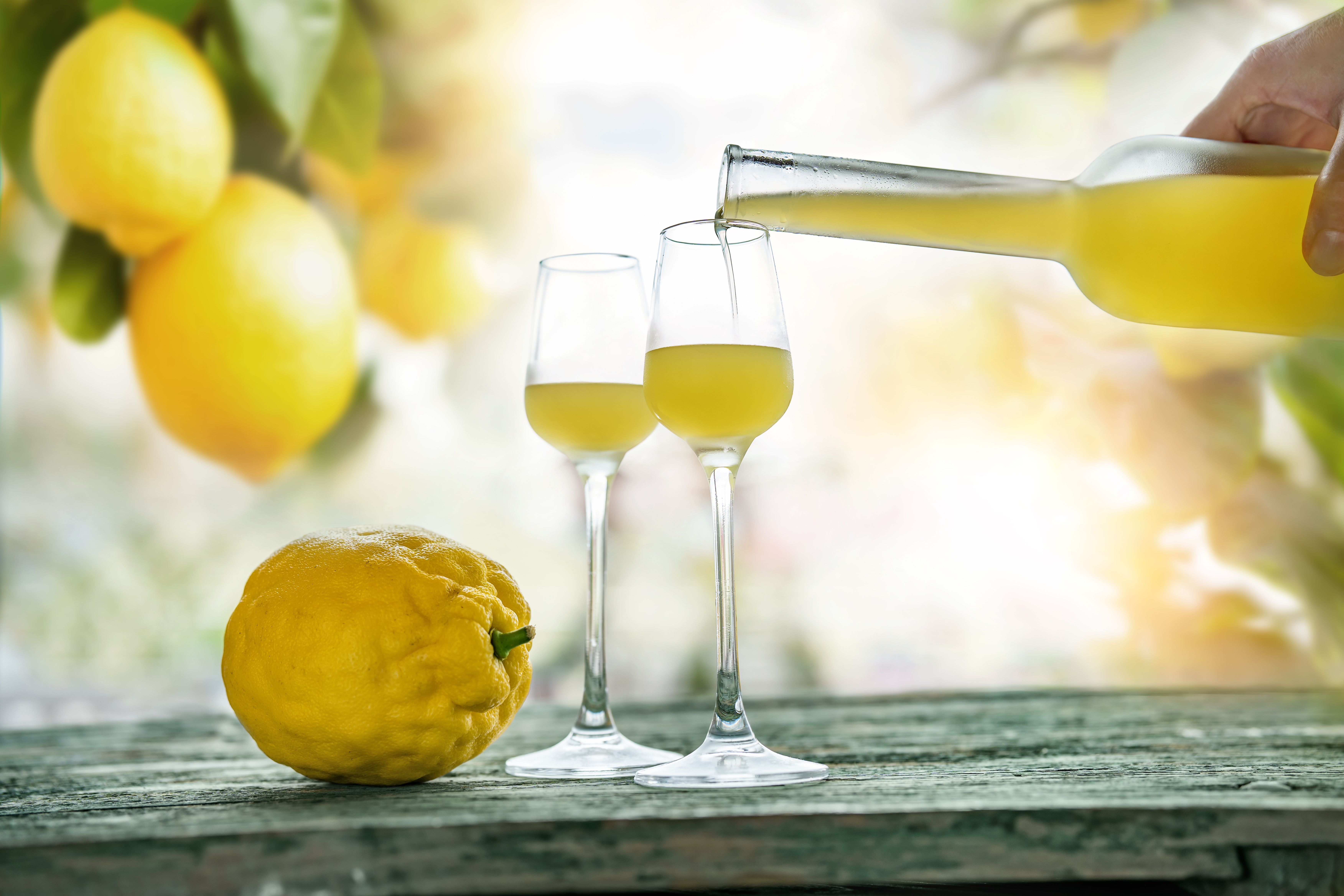 Traditionel italiensk limoncello hældes i glas med friske citroner på rustikt træbord