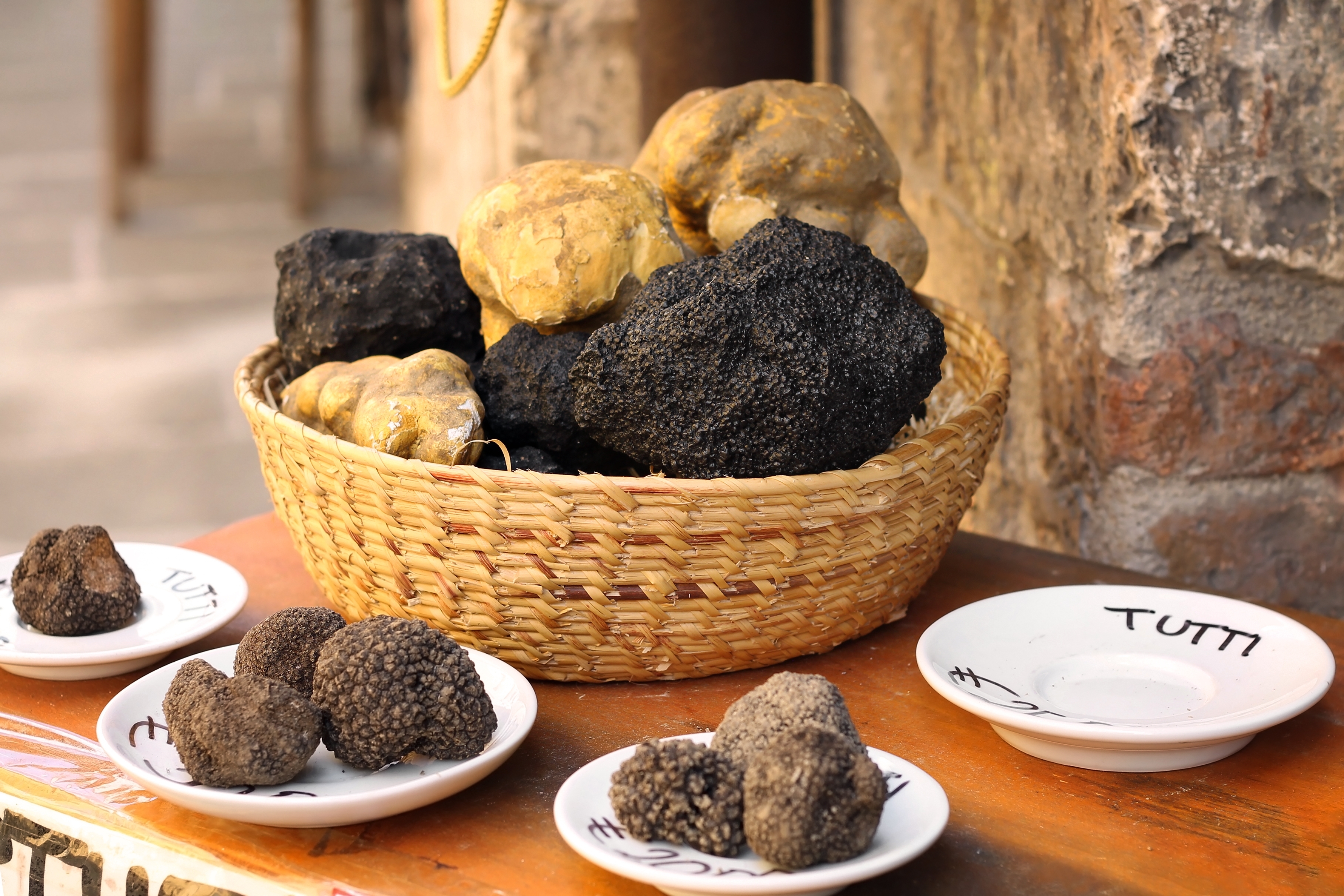 Udvalg af friske sorte og brune trøfler fra Umbrien - en eksklusiv lokal delikatesse, som indgår i det umbriske køkken, vi udforsker på vores elcykelrejse gennem Italien