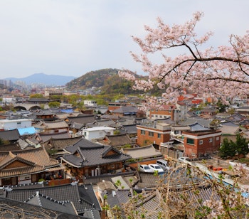 Panoramaudsigt over Jeonju Hanok landsbyen i Sydkorea med traditionelle træhuse og blomstrende kirsebærtræer om foråret