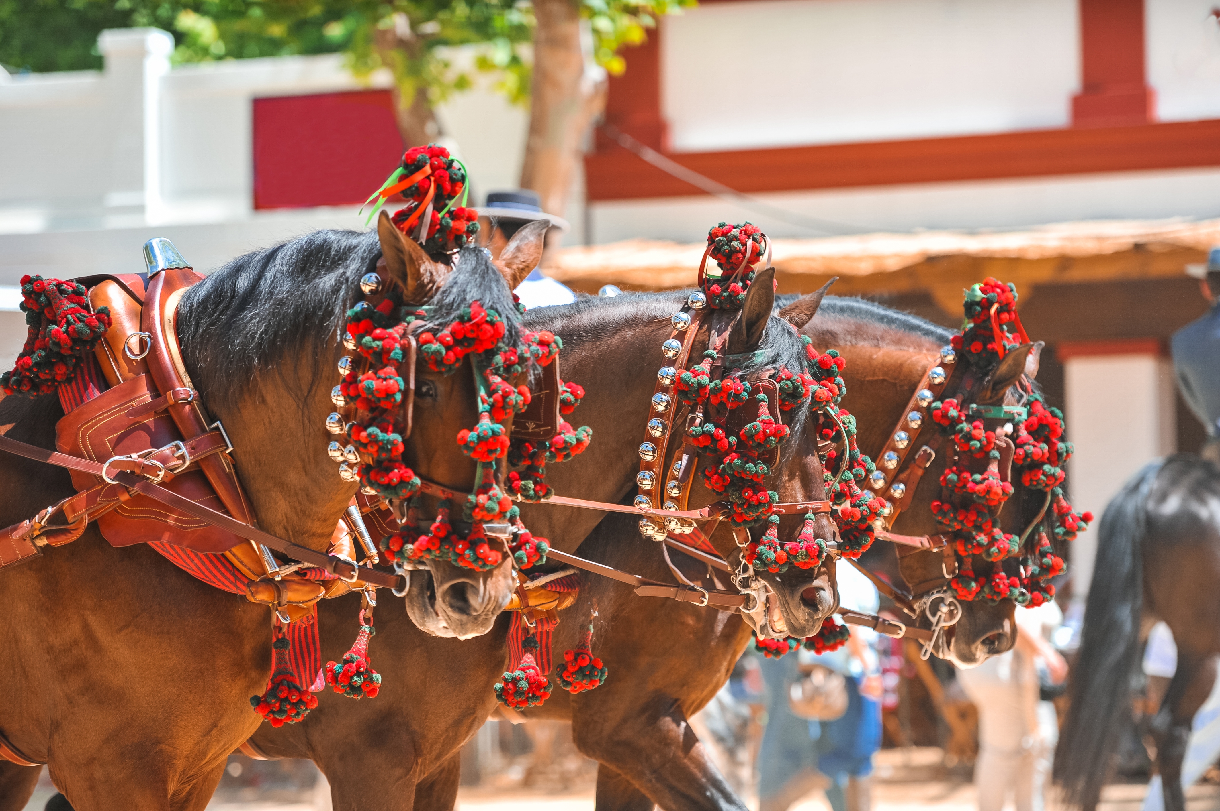 Smukt pyntede heste med farverige traditionelle ornamenter og dekorative kvaster ved den berømte Feria del Caballo (hestefestival) i Jerez de la Frontera - oplev Andalusiens rige hestekultur og traditioner på din rejse til Spanien