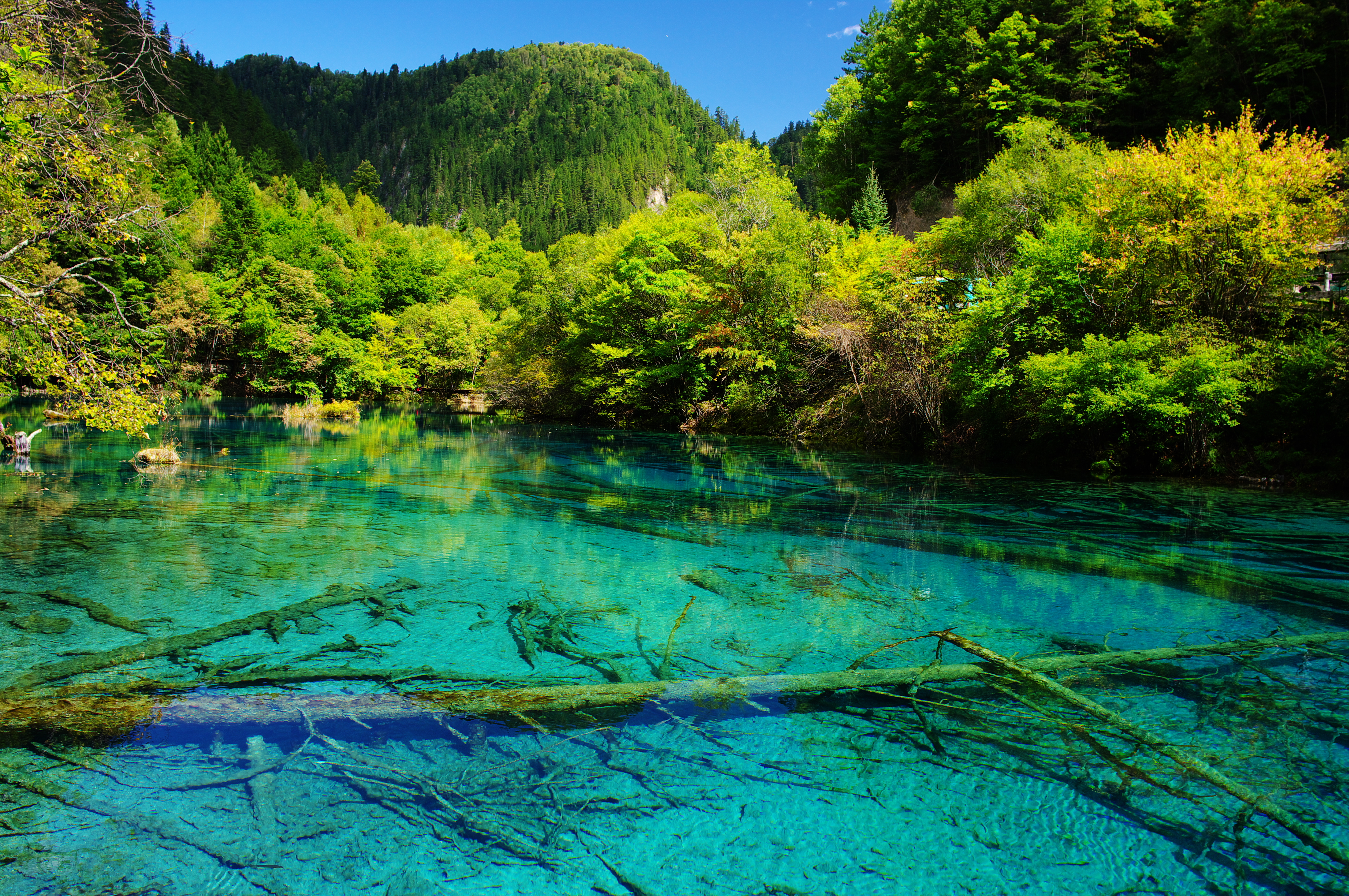 Krystalklart tyrkisblåt vand i Jiuzhaigou Nationalpark Kina med grønne bjerge og skov reflekteret i søen