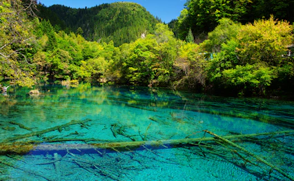 Krystalklart tyrkisblåt vand i Jiuzhaigou Nationalpark Kina med grønne bjerge og skov reflekteret i søen